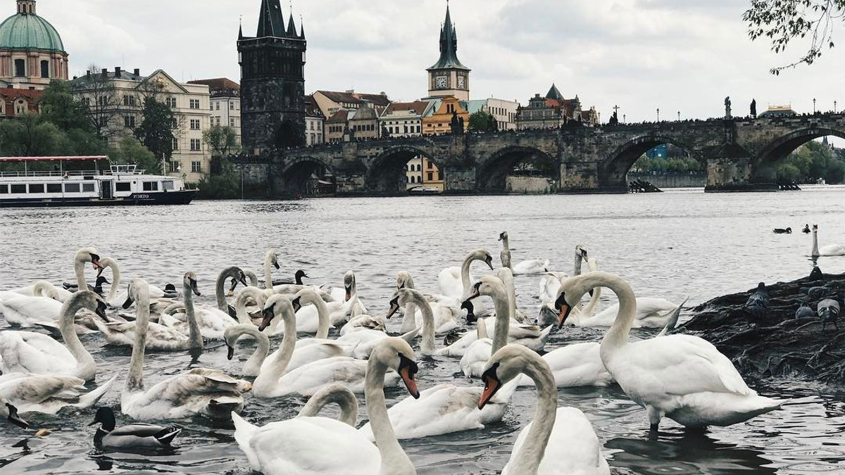 Неймовірна Чехія очима мандрівника: затишні фото - фото 1