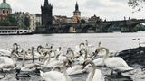 Неймовірна Чехія очима мандрівника: затишні фото