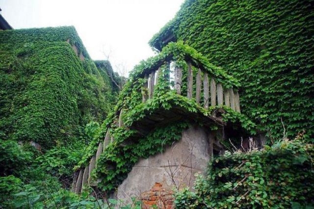 У полоні природи: як виглядає закинуте поселення у Китаї - фото 168173