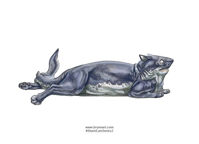 Якби акули були котами: веселі ілюстрації - фото 166642