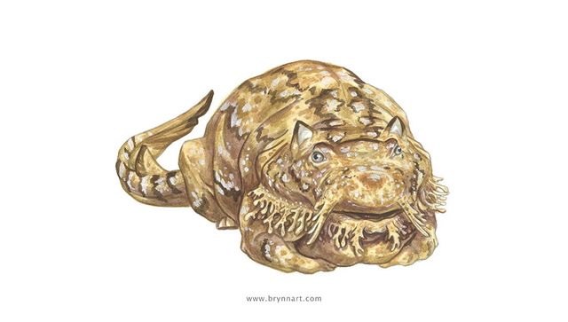 Якби акули були котами: веселі ілюстрації - фото 166649