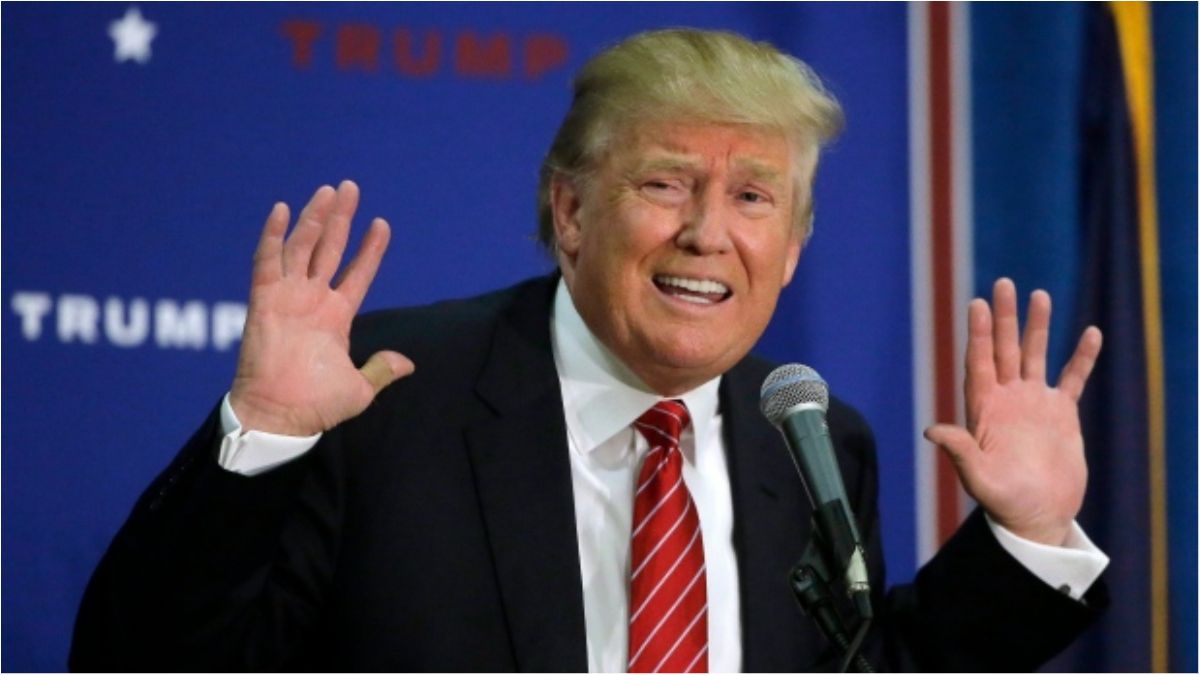 Халепа) - фото 1