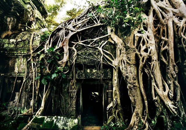 Як виглядають занедбані храми Камбоджі: вражаючі фото - фото 164900