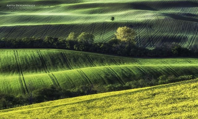Неймовірна Чехія в об'єктиві талановитого фотографа - фото 170210