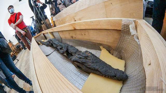 З'явилися перші фото сенсаційних мумій, яких виявили у Києві - фото 164391