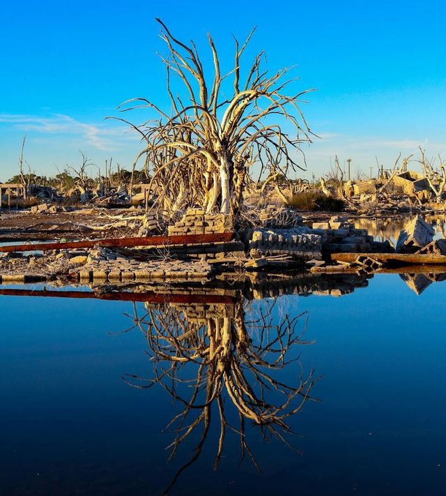 @andreajara1042 - фото 170478