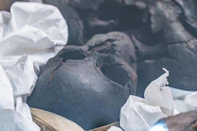 З'явилися перші фото сенсаційних мумій, яких виявили у Києві - фото 164399