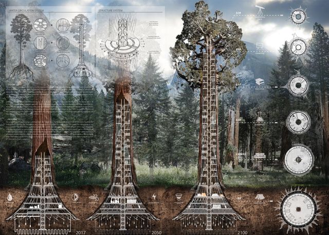 У Південній Кореї хочуть спорудити хмарочос всередині секвої - фото 164106