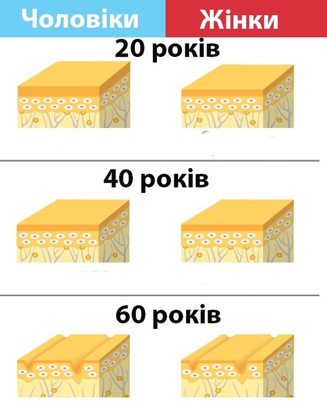 Ці 7 фактів про чоловіче тіло вас точно здивують - фото 165889