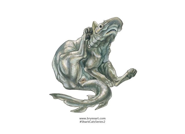 Якби акули були котами: веселі ілюстрації - фото 166648