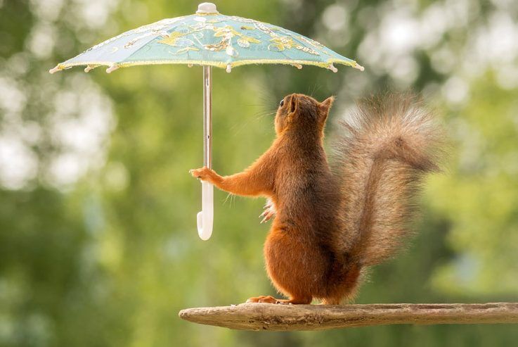 Яку погоду слід очікувати українцям в п'ятницю