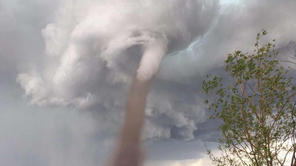 Незворушний канадець стриг газон під час торнадо - фото 1