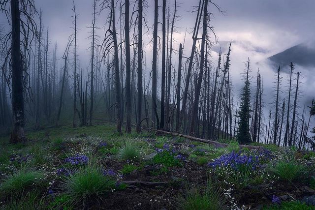 Відчуй природу: неймовірні пейзажі, від яких перехоплює дух - фото 175650