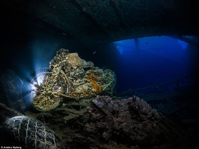 Таємниці підводного світу: неймовірні фото - фото 172026