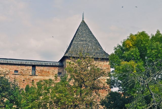 Вежа Чарторийських - фото 172416