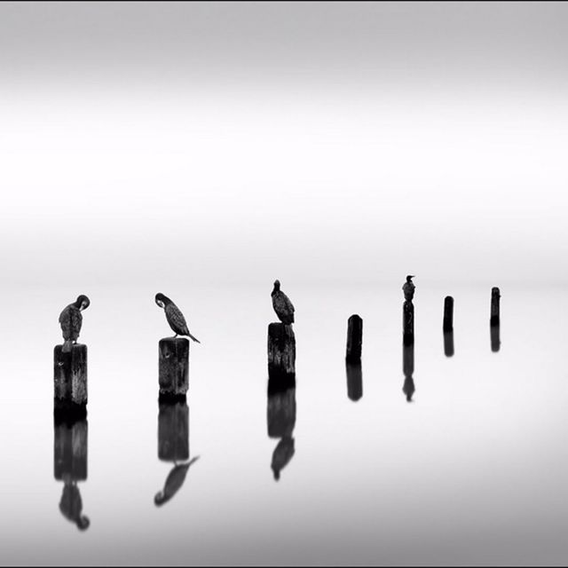 Без барв: світлини, які заворожують своєю красою - фото 177985