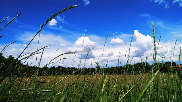 Невідомий Google та інші технологічні новинки, які ви могли пропустити - фото 171630