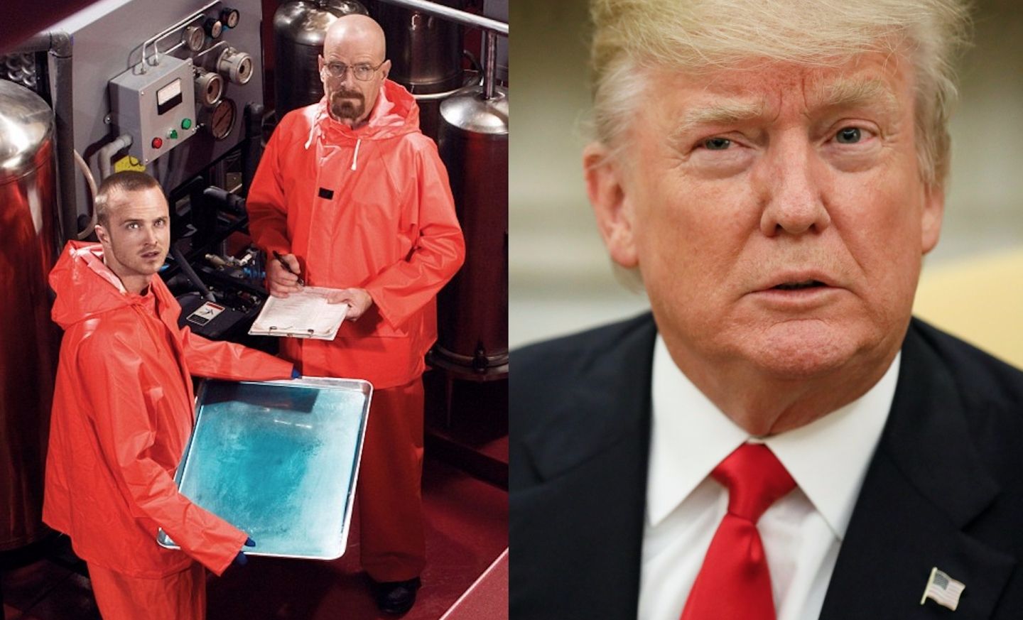 Trump and meth - фото 1