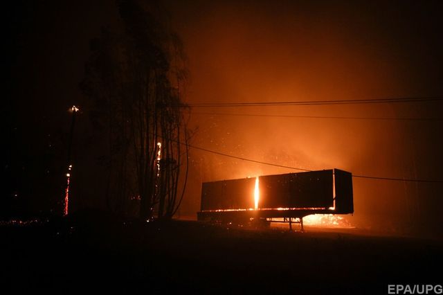 Португалію охопили масштабні лісові пожежі: моторошні фото - фото 175009