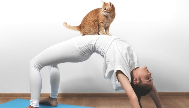 Новий вид йоги захопив мережу: гаряче відео (18+) - фото 174711