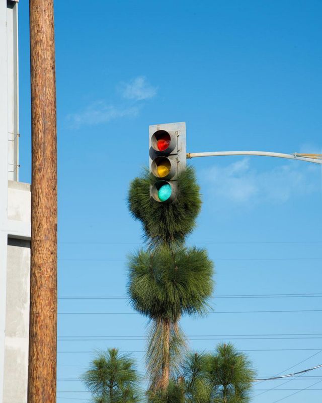 Нью-Йорк, яким його не бачать туристи: ефектні фото - фото 173448