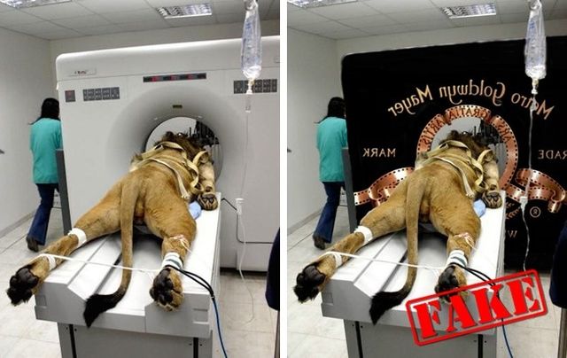 10 легендарних фото, які насправді виявилися підробками - фото 172628