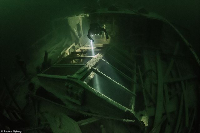 Таємниці підводного світу: неймовірні фото - фото 172029