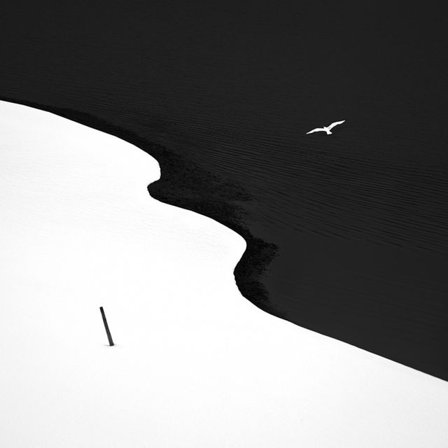 Чуттєві чорно-білі фото, які здатні заворожити - фото 175716