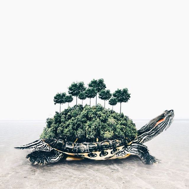 Неймовірні фото, на які варто глянути двічі - фото 177898