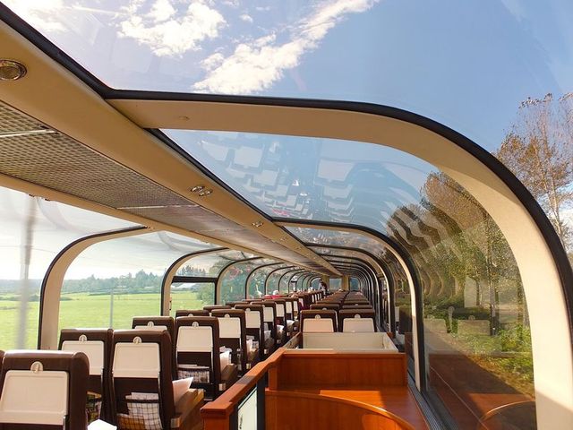 Як виглядають найкращі VIP-потяги світу: розкішні фото - фото 175553