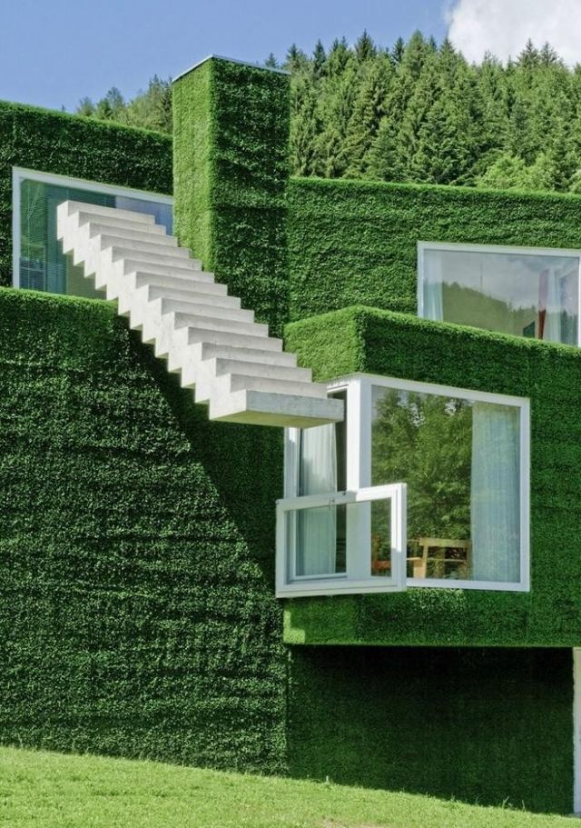 Як виглядає найзеленіше помешкання в Австрії: ефектні фото - фото 171935