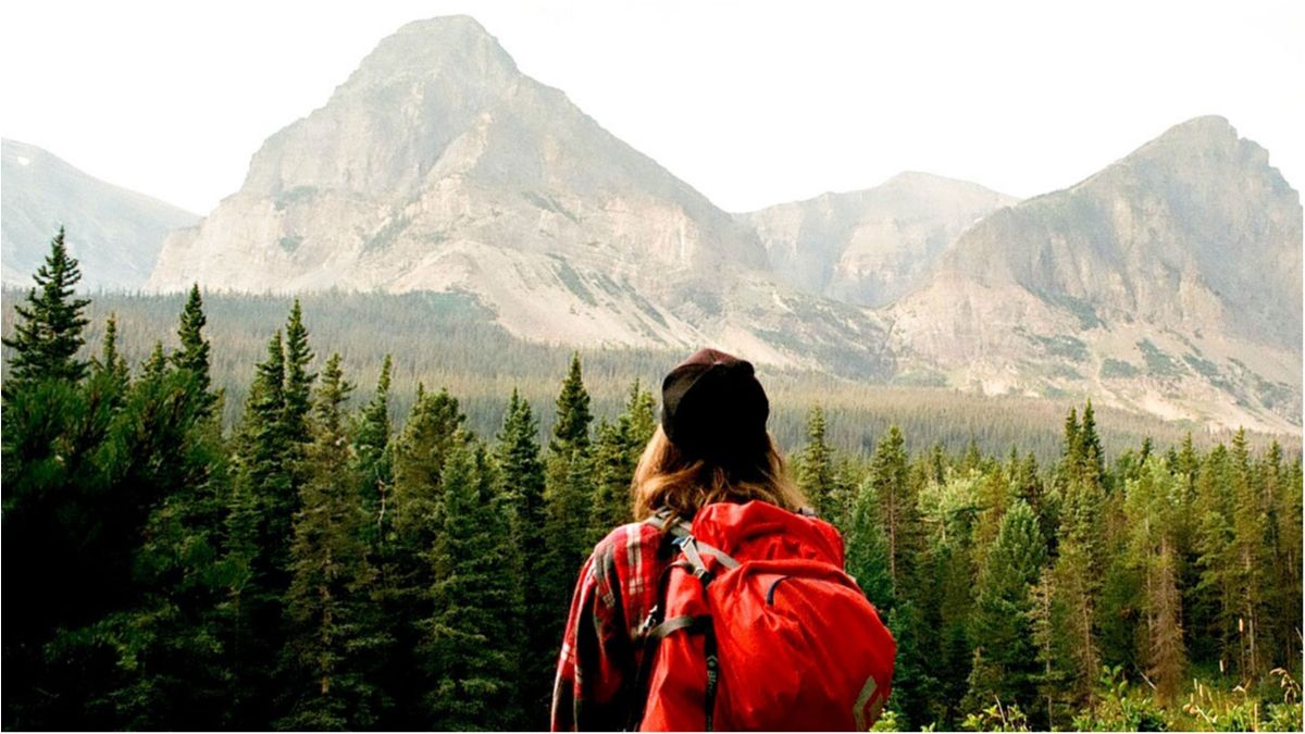 Поїхали! - фото 1