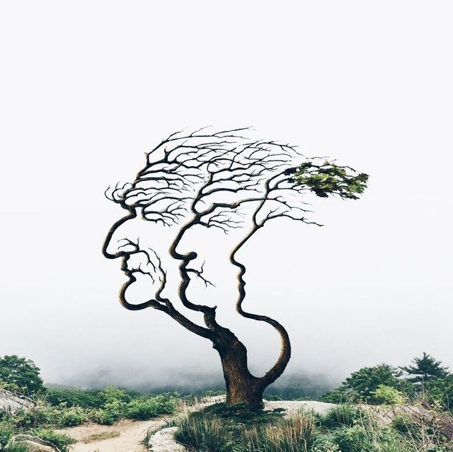 Неймовірні фото, на які варто глянути двічі - фото 177896