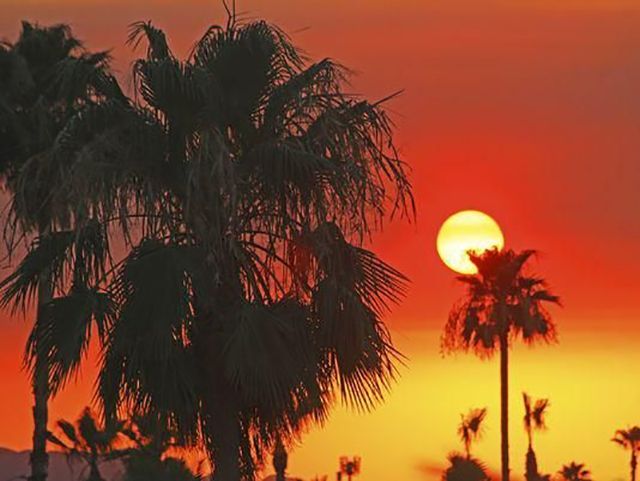 Стало відомо, коли на Землі запанує смертельно небезпечна спека