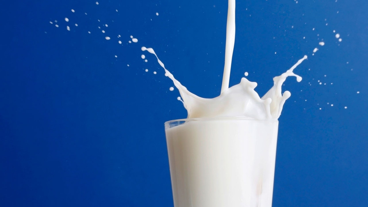 Молоко - фото 1