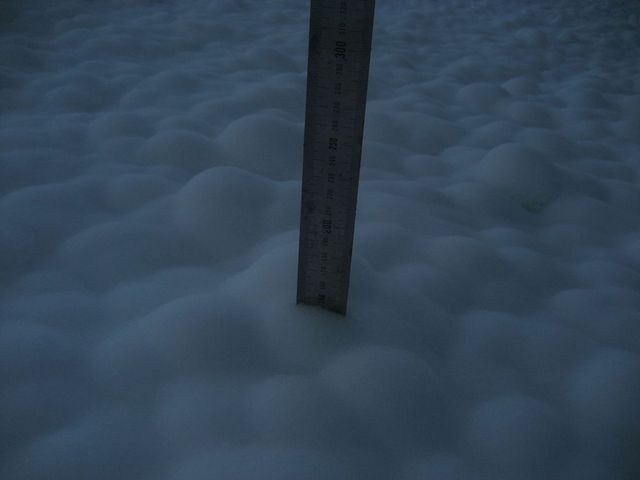 Австралієць "створив сніг", щоб відчути справжню зиму - фото 171898