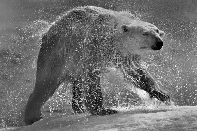 Чуттєві чорно-білі фото, які здатні заворожити - фото 175711