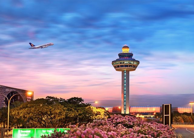 Аеропорт Чангі - фото 173968