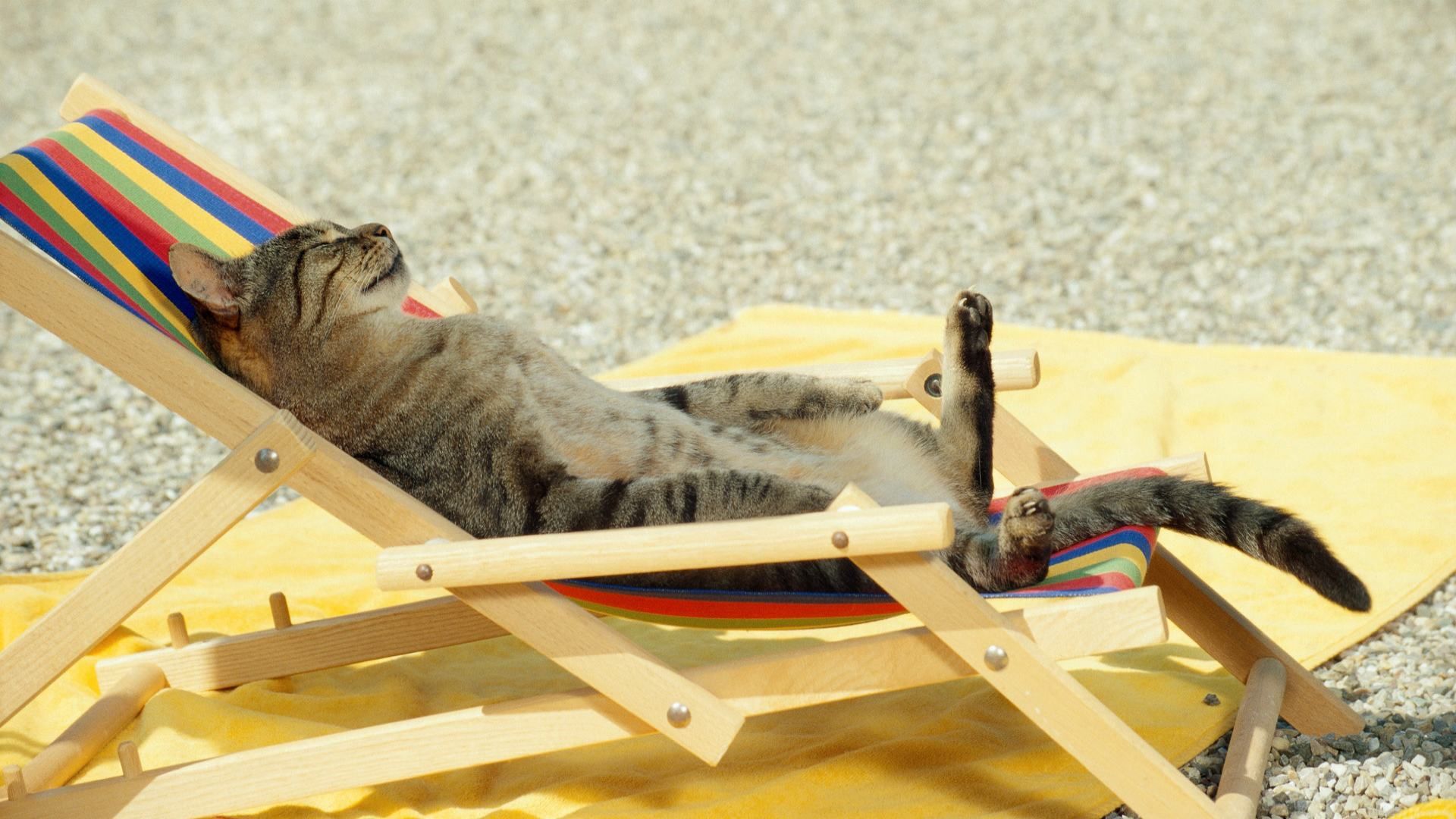 Ці місця на тілі необхідно захищати від сонця