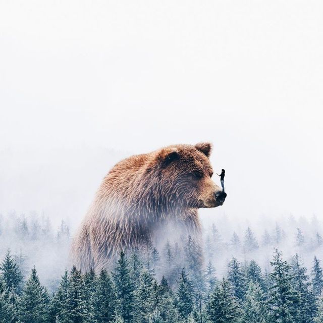 Неймовірні фото, на які варто глянути двічі - фото 177901