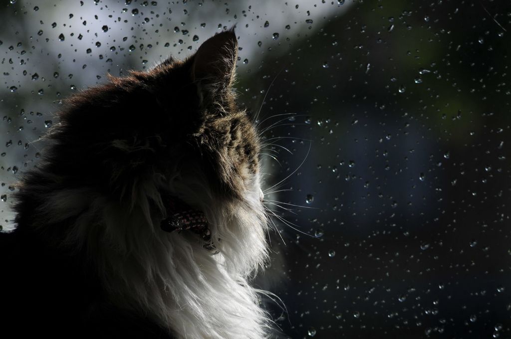 Українців попередили про різку зміну погоди