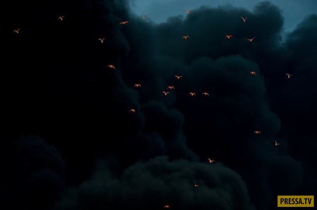 Вражаючі фото, які змінять ваш погляд на світ - фото 172687