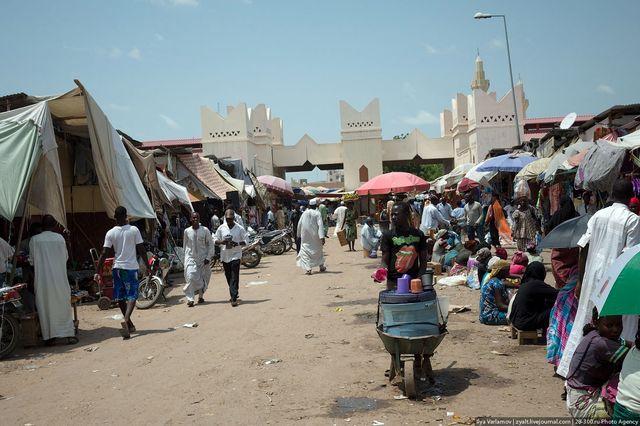 Названо найвразливішу для зміни клімату країну - фото 175578