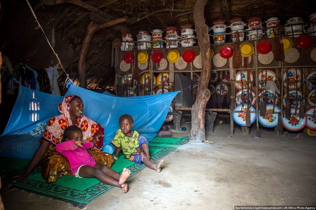 Названо найвразливішу для зміни клімату країну - фото 175577