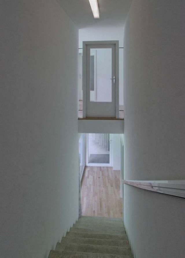 Як виглядає найзеленіше помешкання в Австрії: ефектні фото - фото 171931