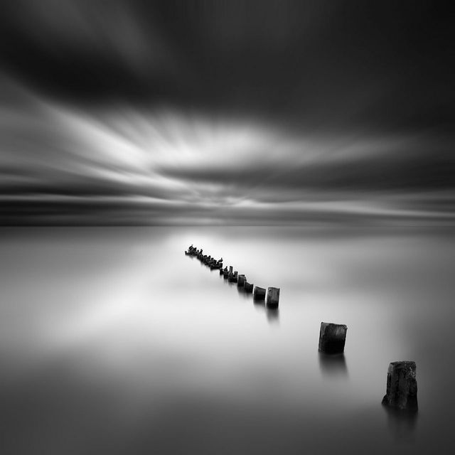 Без барв: світлини, які заворожують своєю красою - фото 177994