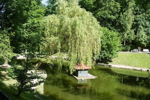 Стрийський парк - фото 177374