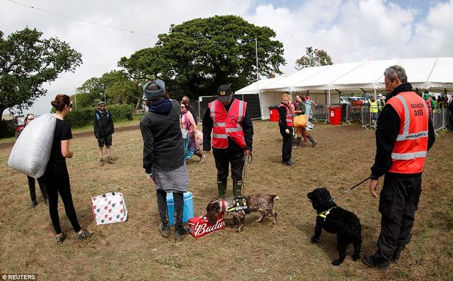 Як виглядає музичний фестиваль на болоті: яскраві фото - фото 173570