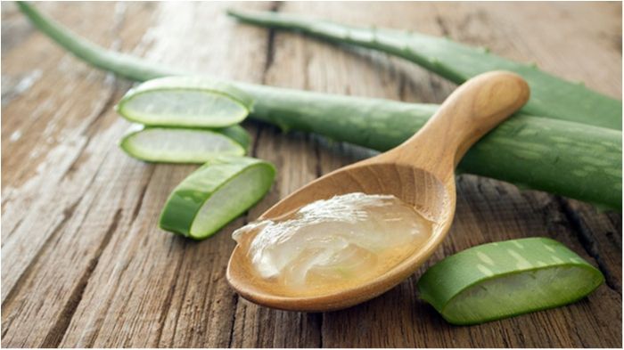 Неймовірна властивість соку алое, про яку багато хто не знає