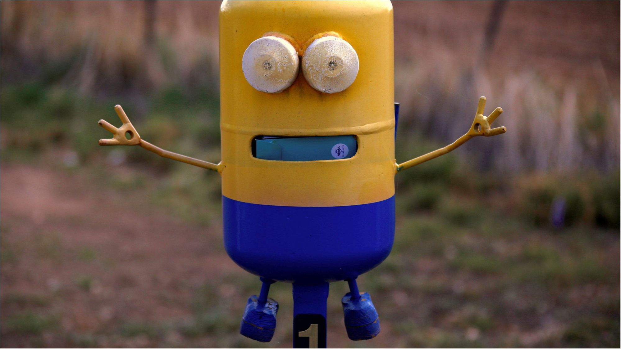 Незвичні поштові скриньки Австралії: вражаючі фото